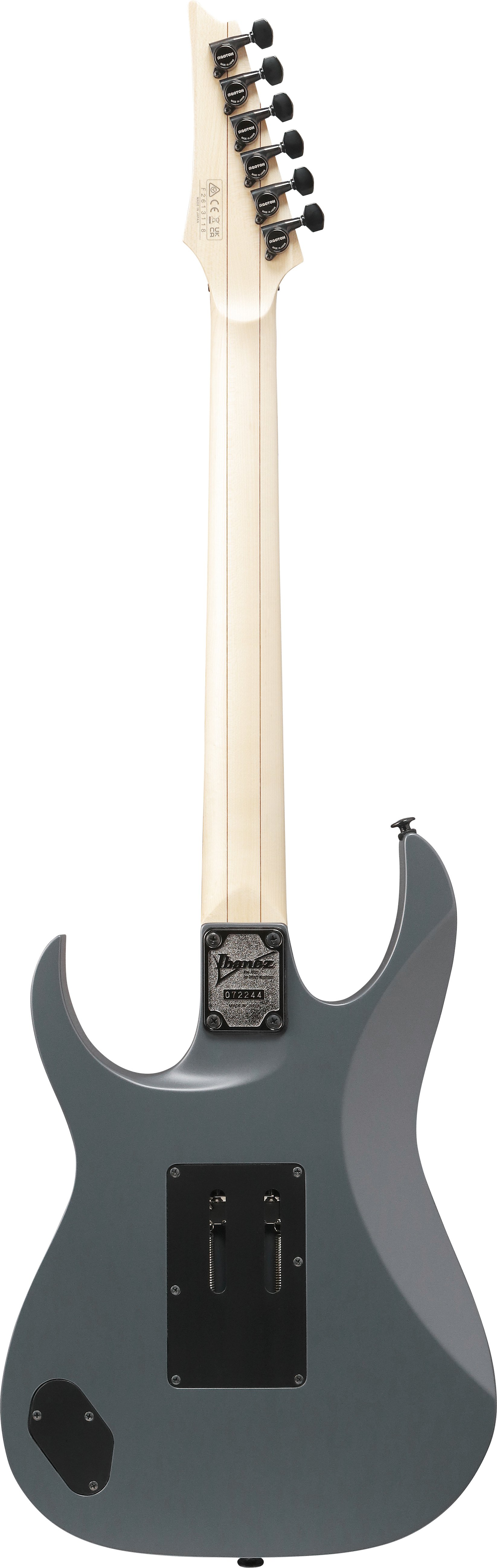 RG550 Genesis RG Gray Metallic Flat E-Gitarre